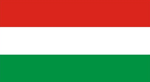 Language Flag